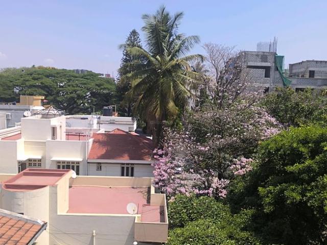 3 BHK Independent Builder Floor in Jayanagar for resale Bengaluru. The reference number is 19597708