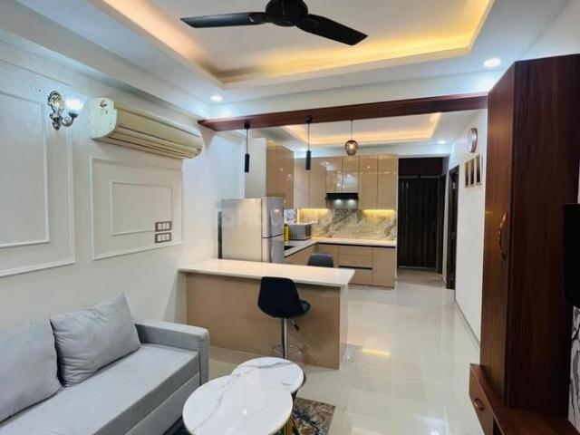 3 BHK Independent Builder Floor in Palam Vihar for rent Gurgaon. The reference number is 20269798