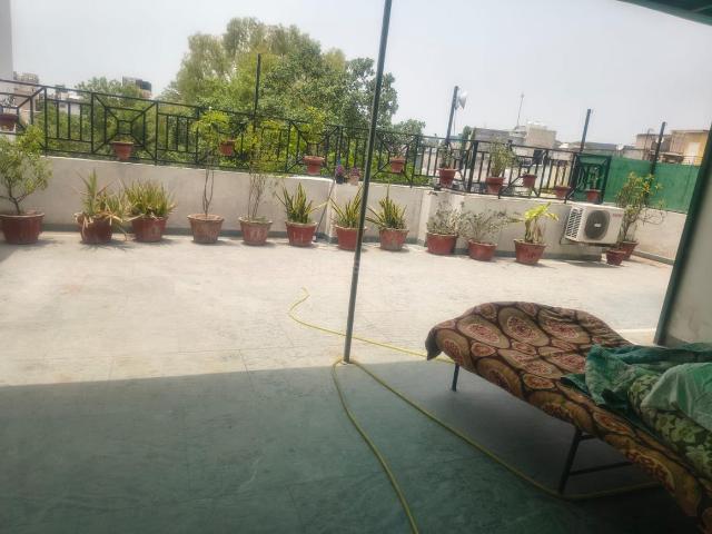 3 BHK Independent Builder Floor in Safdarjung Enclave for rent New Delhi. The reference number is 20472460