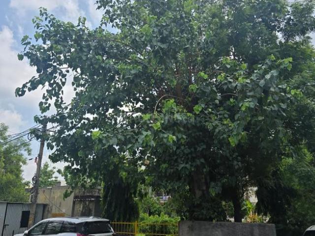 3 BHK Independent Builder Floor in Sahibabad Industrial Area for resale Ghaziabad. The reference number is 17702383
