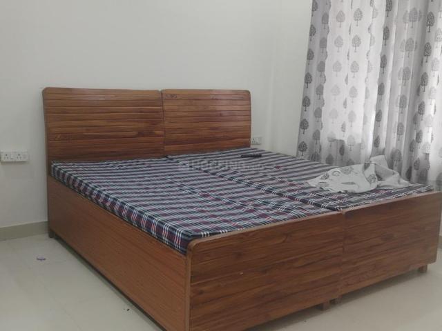 3 BHK Independent Builder Floor in Sector 43 for rent Gurgaon. The reference number is 20924620
