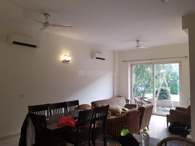 3 BHK Independent Builder Floor in Sector 43 for rent Gurgaon. The reference number is 8026416
