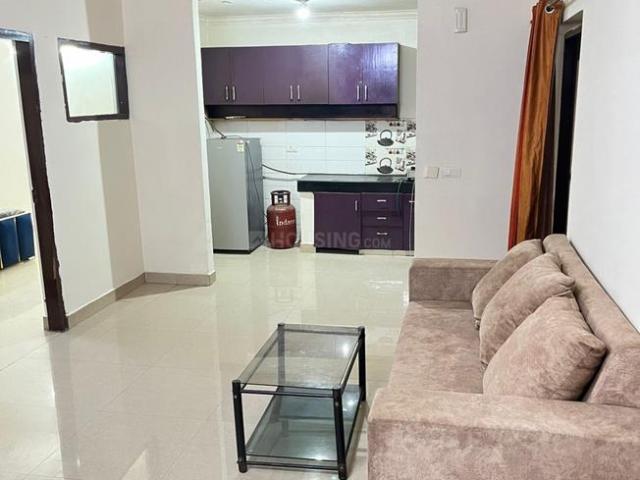 3 BHK Independent Builder Floor in Sector 48 for rent Gurgaon. The reference number is 20781100