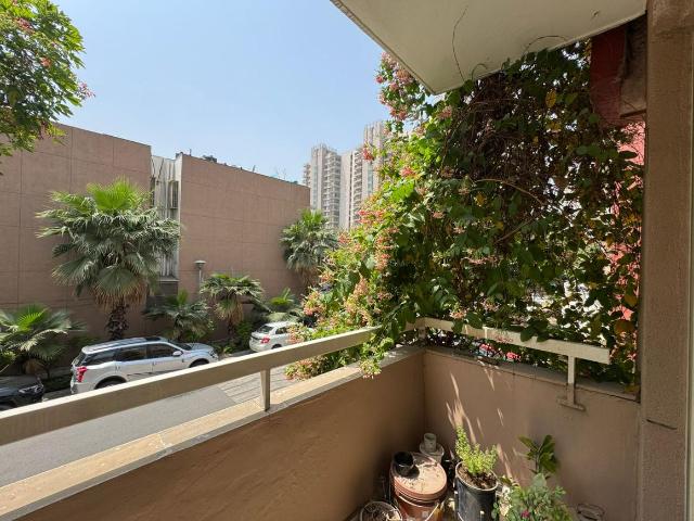 3 BHK Independent Builder Floor in Sector 50 for resale Gurgaon. The reference number is 19800680