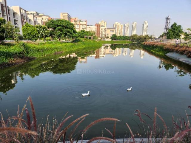 3 BHK Independent Builder Floor in Sector 63 for rent Gurgaon. The reference number is 20278400