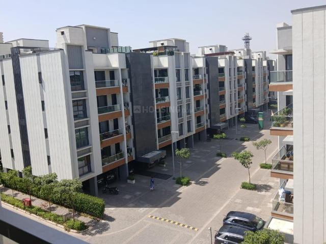 3 BHK Independent Builder Floor in Kadarpur for rent Gurgaon. The reference number is 20770245