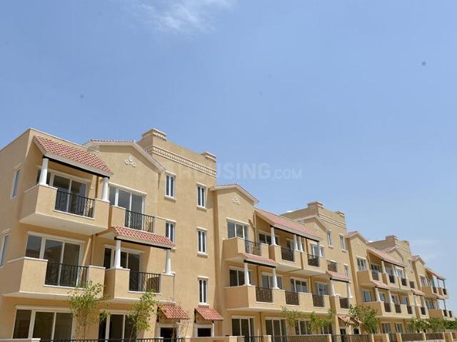 3 BHK Independent Builder Floor in Sector 65 for resale Gurgaon. The reference number is 20000251