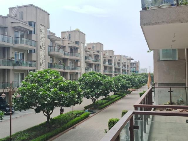 3 BHK Independent Builder Floor in Sector 70A for rent Gurgaon. The reference number is 20616006
