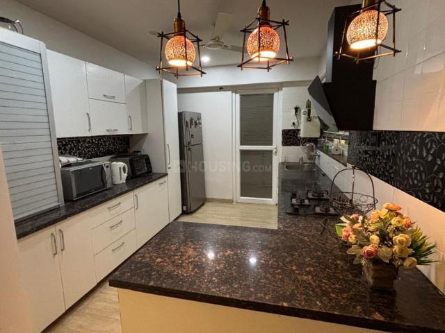 3 BHK Independent Builder Floor in Sector 79 for rent Mohali. The reference number is 20656589