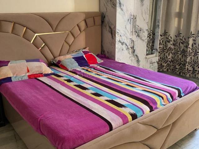 3 BHK Independent Builder Floor in Sector 79 for rent Mohali. The reference number is 20292299