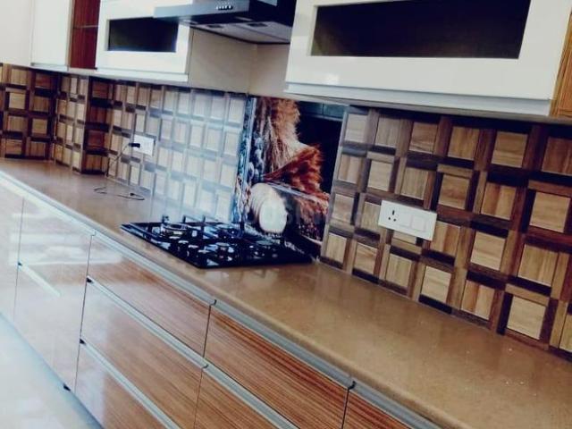 3 BHK Independent Builder Floor in Sector 9 for resale Gurgaon. The reference number is 19052174