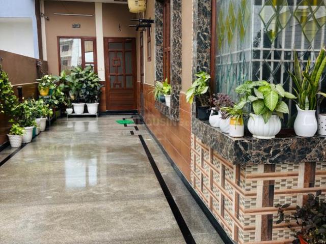3 BHK Independent Builder Floor in Sector 02 for rent Bahadurgarh. The reference number is 20851946