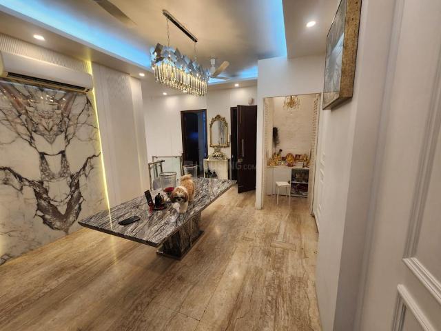 3 BHK Independent Builder Floor in Sector 23 for resale Gurgaon. The reference number is 20147549