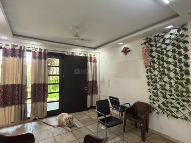 3 BHK Independent Builder Floor in Sector 21 for rent Chandigarh. The reference number is 20241060