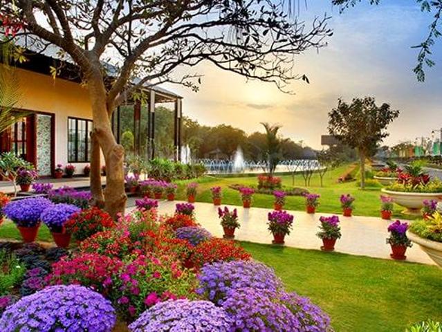3 BHK Independent Builder Floor in Sector 33 for resale Sohna. The reference number is 20916485