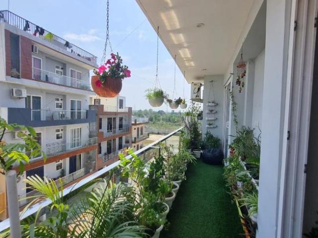 3 BHK Independent Builder Floor in sector 37 for resale Bahadurgarh. The reference number is 13890391