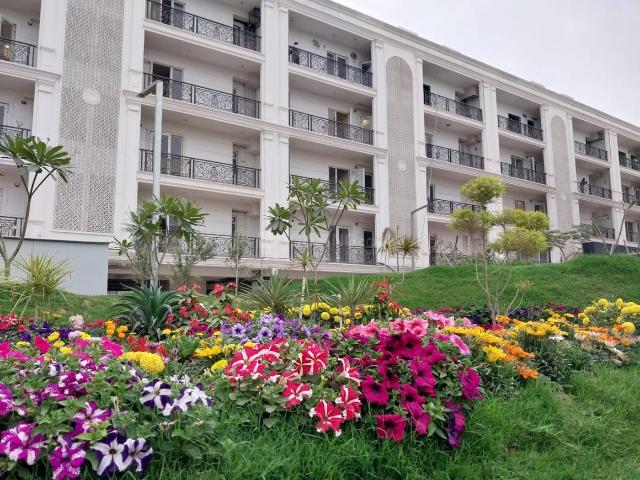 3 BHK Independent Builder Floor in Sector 35 for resale Sohna. The reference number is 19607519