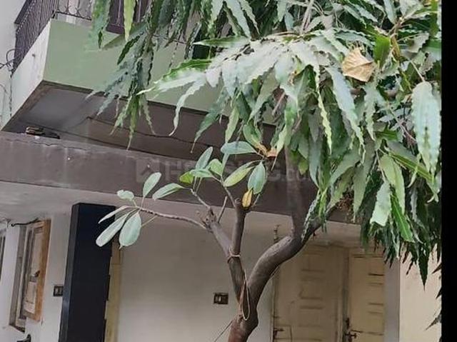 3 BHK Independent House in Arera Colony for resale Bhopal. The reference number is 17421140