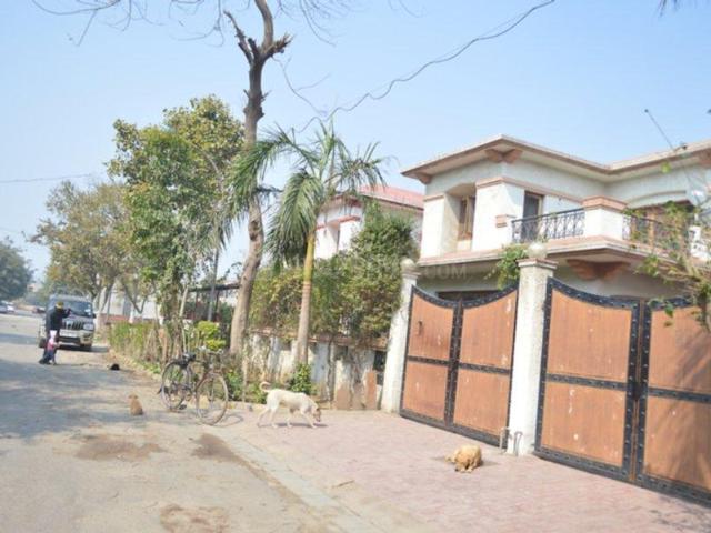3 BHK Independent House in Sector 14 for rent Gurgaon. The reference number is 20234749