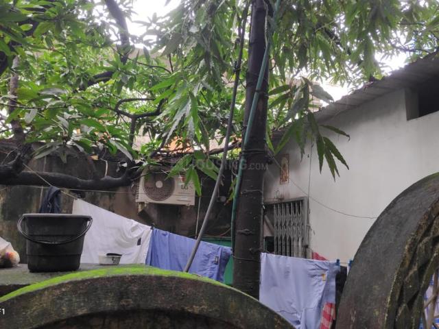 3 BHK Independent House in South Dum Dum for resale Kolkata. The reference number is 20905746