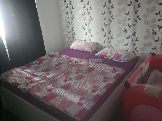 3 cam zona Garii