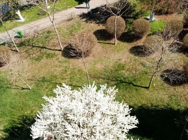 3 camere, apartament de vanzare Dambovita judet, Manastirea 8711 •