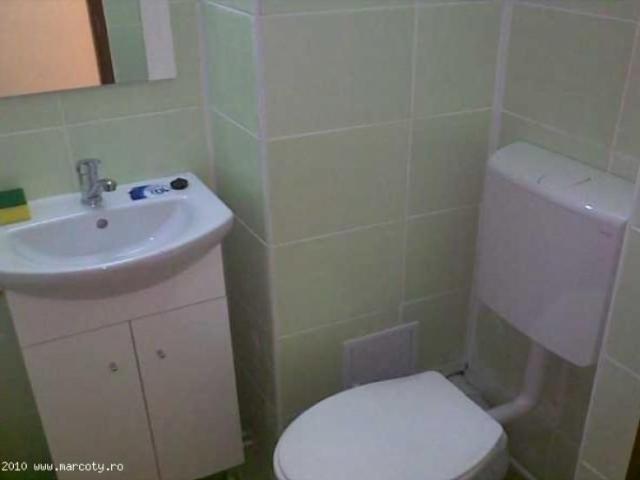 3 camere castanilor 450 ron / lunar