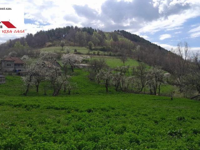 3 camere, casa de vanzare Alba judet, Valea Vintului 8545 •