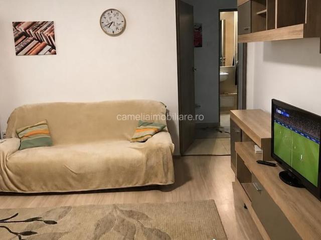3 camere între metrou Unirii și Tineretului, Parcul Carol, vedere Casa Poporului