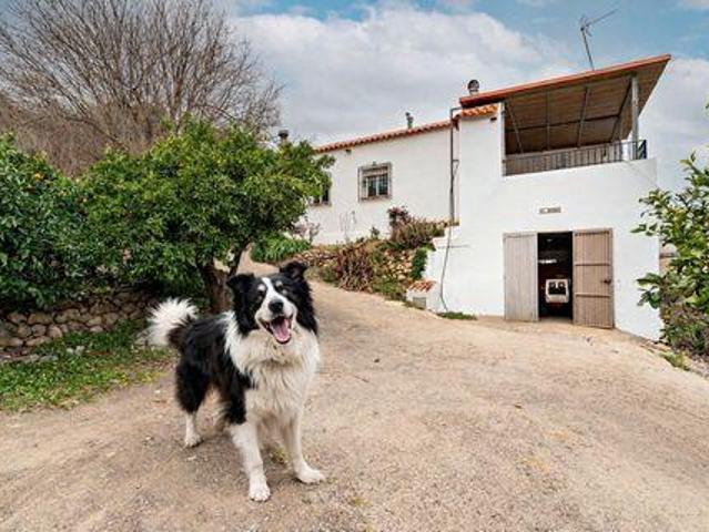 3 Dormitorio Casa Canjayar Alpujarras LS99837355
