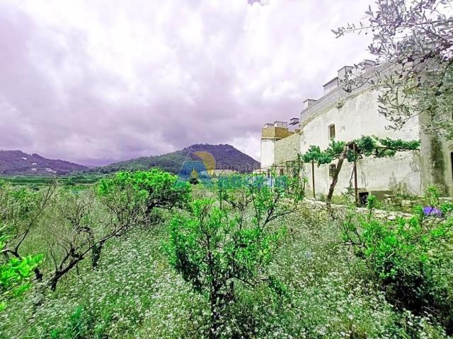 3 Dormitorio Casa Oliva Valencia LS96285663