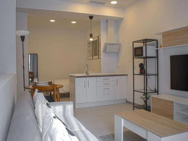 3 Dormitorio Apartamentos Málaga Andalusia 95263044