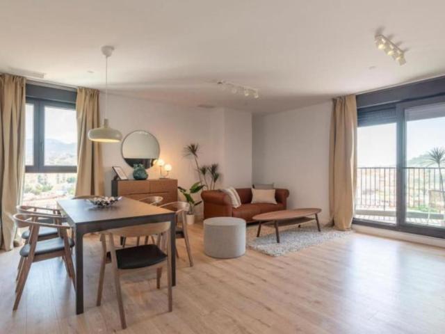3 Dormitorio Apartamentos Málaga Málaga 104369182