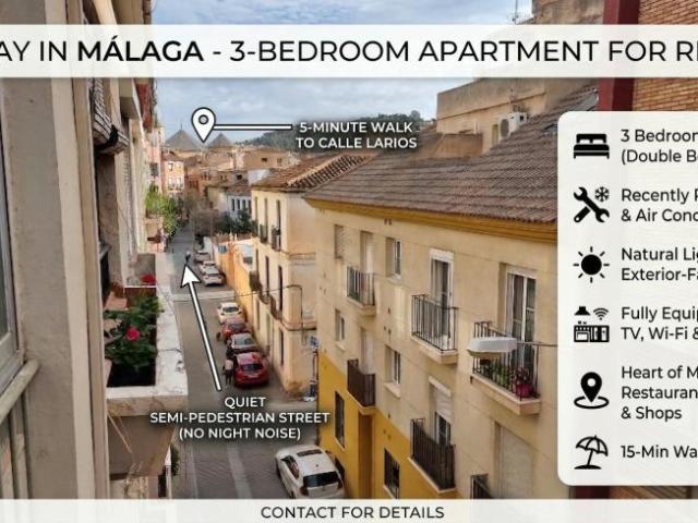 3 Dormitorio Apartamentos Málaga Málaga 100990983