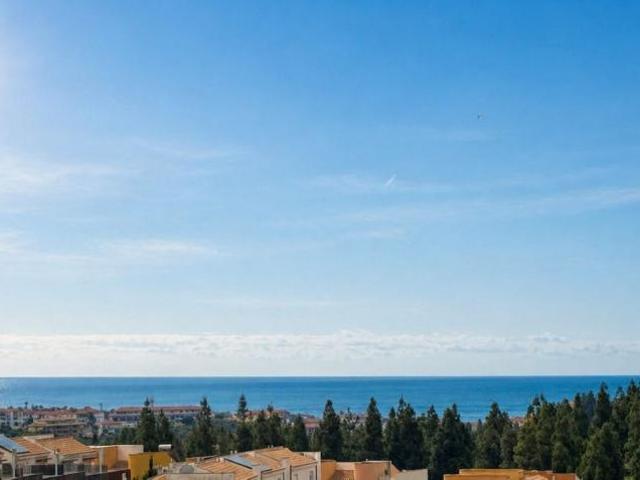 3 Dormitorio Apartamentos Malaga Malaga 103060995