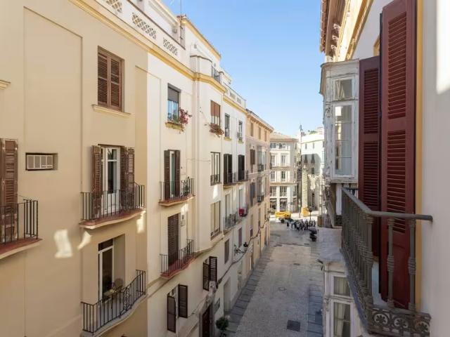 3 Dormitorio Apartamentos Málaga Málaga LS96345827