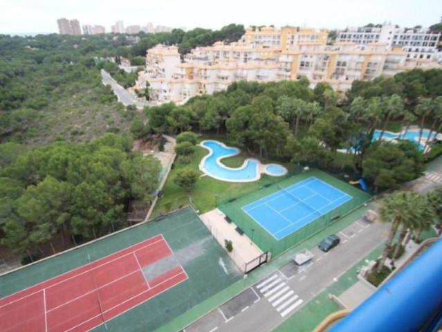 3 Dormitorio Apartamentos Orihuela Orihuela 95323686
