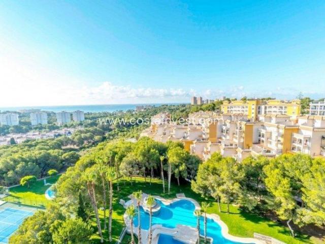 3 Dormitorio Apartamentos Orihuela Costa Costa Blanca 64355293