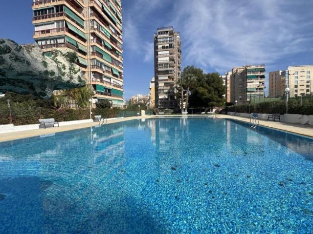 3 Dormitorio Apartamentos Alicante Alicante 89989034