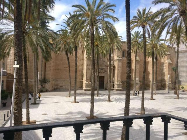 3 Dormitorio Apartamentos Almeria Almeria LS100089278