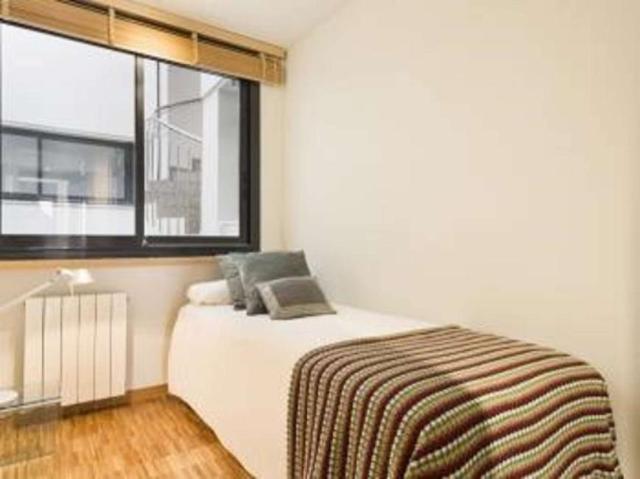 3 Dormitorio Apartamentos Barcelona Barcelona 101816093