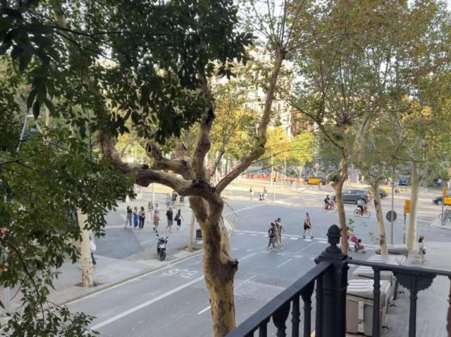 3 Dormitorio Apartamentos Barcelona Barcelona 101812492