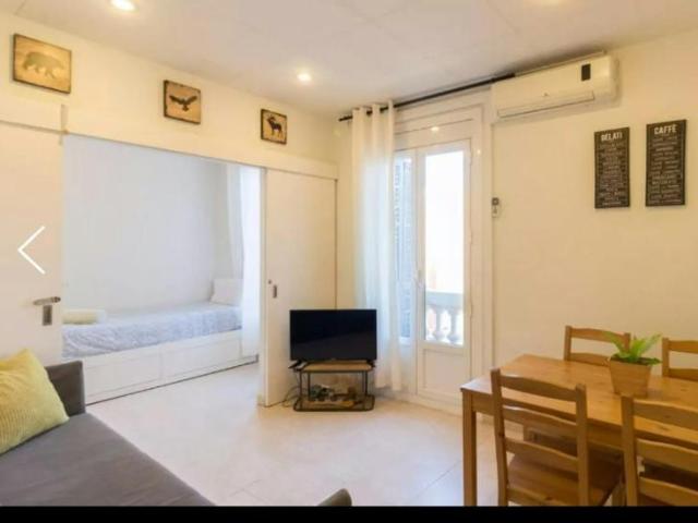 3 Dormitorio Apartamentos Barcelona Barcelona 101843226