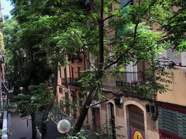 3 Dormitorio Apartamentos Barcelona Barcelona 103597578
