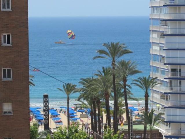 3 Dormitorio Apartamentos Benidorm Alicante 102366592