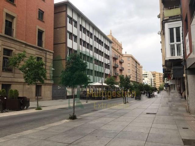 3 Dormitorio Apartamentos Cáceres Cáceres 102714271