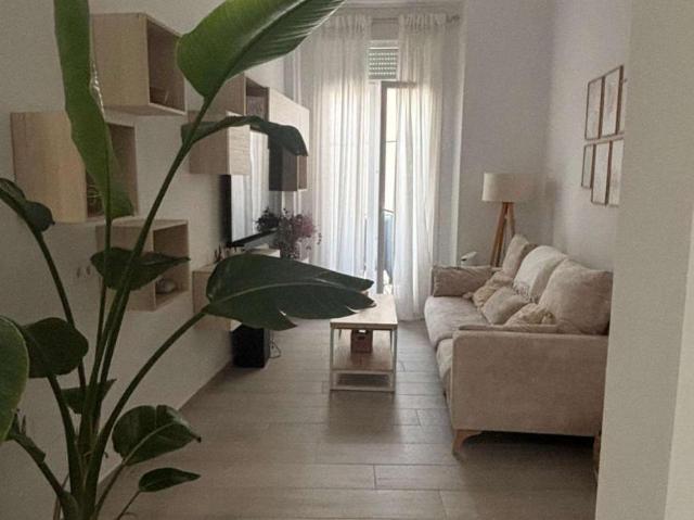 3 Dormitorio Apartamentos Cadiz Cadiz 100874699