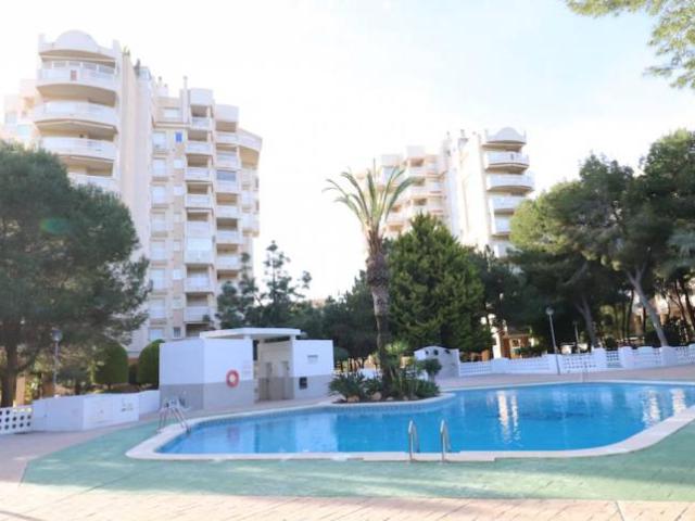 3 Dormitorio Apartamentos Campoamor Alicante 93249515