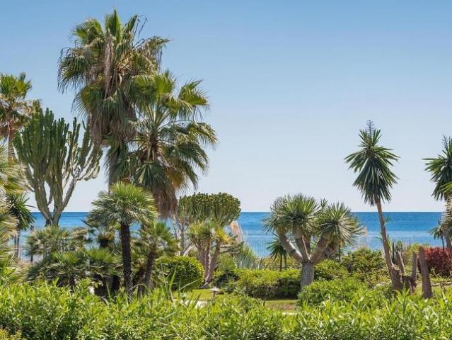 3 Dormitorio Apartamentos Estepona Málaga 102408180