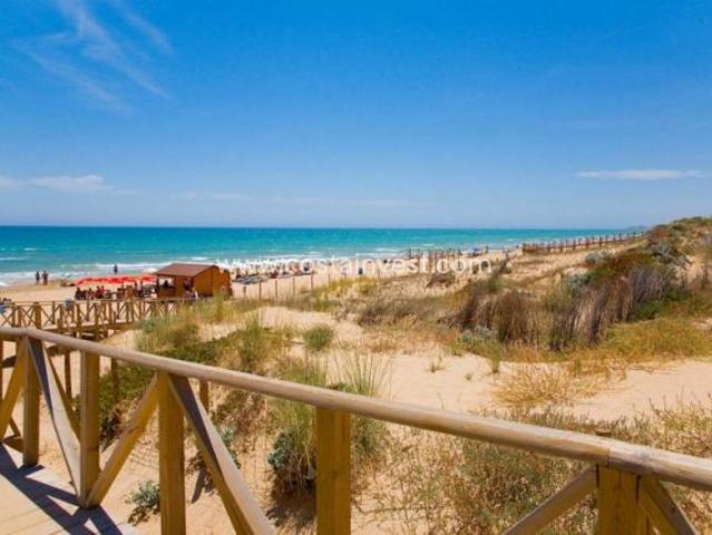 3 Dormitorio Apartamentos Guardamar Del Segura Costa Blanca LS82264239